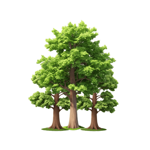 Kylea D Gomez (Welton) Obituary (1992 - 2024) - Missouri