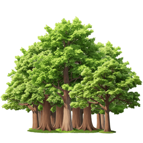 Margarita Aroche Witherspoon Obituary (1949 2024) San Francisco, CA