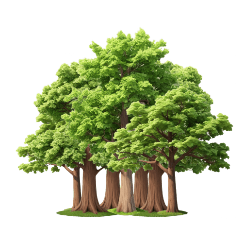 James Todd Beach Obituary (1969 2024) Prescott, MI