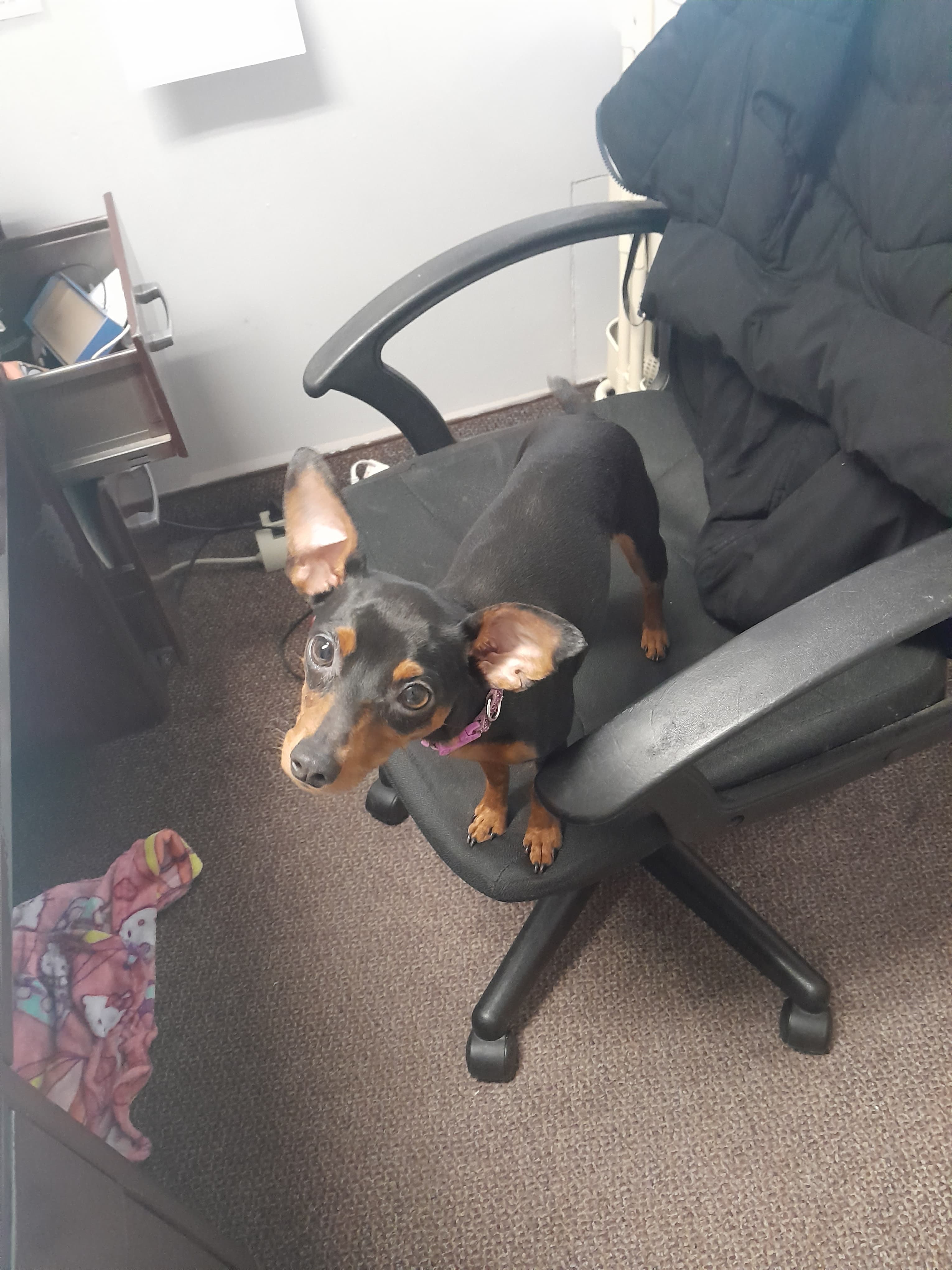 Photo of Honey
