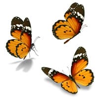 Photo of Maria