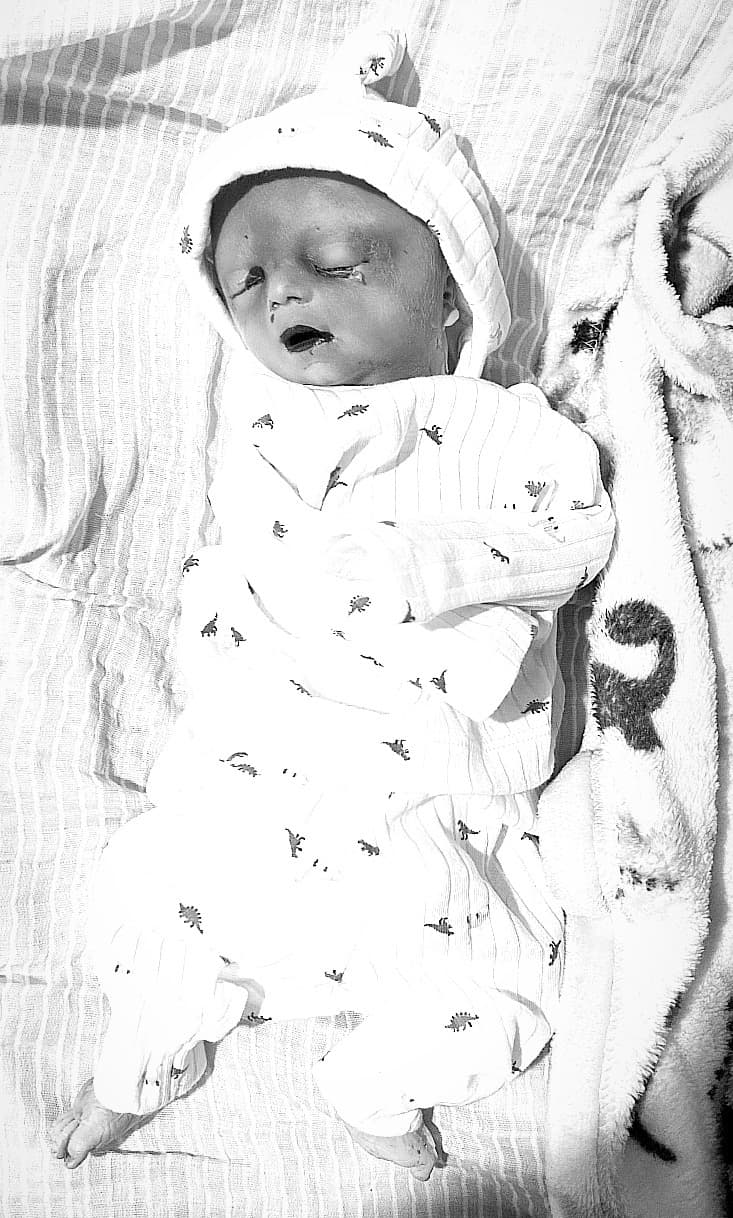 Photo of Hayden