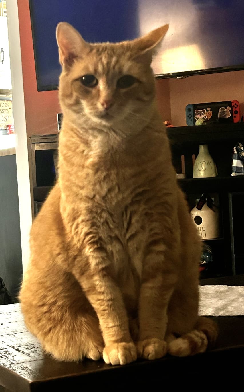Photo of Rusty