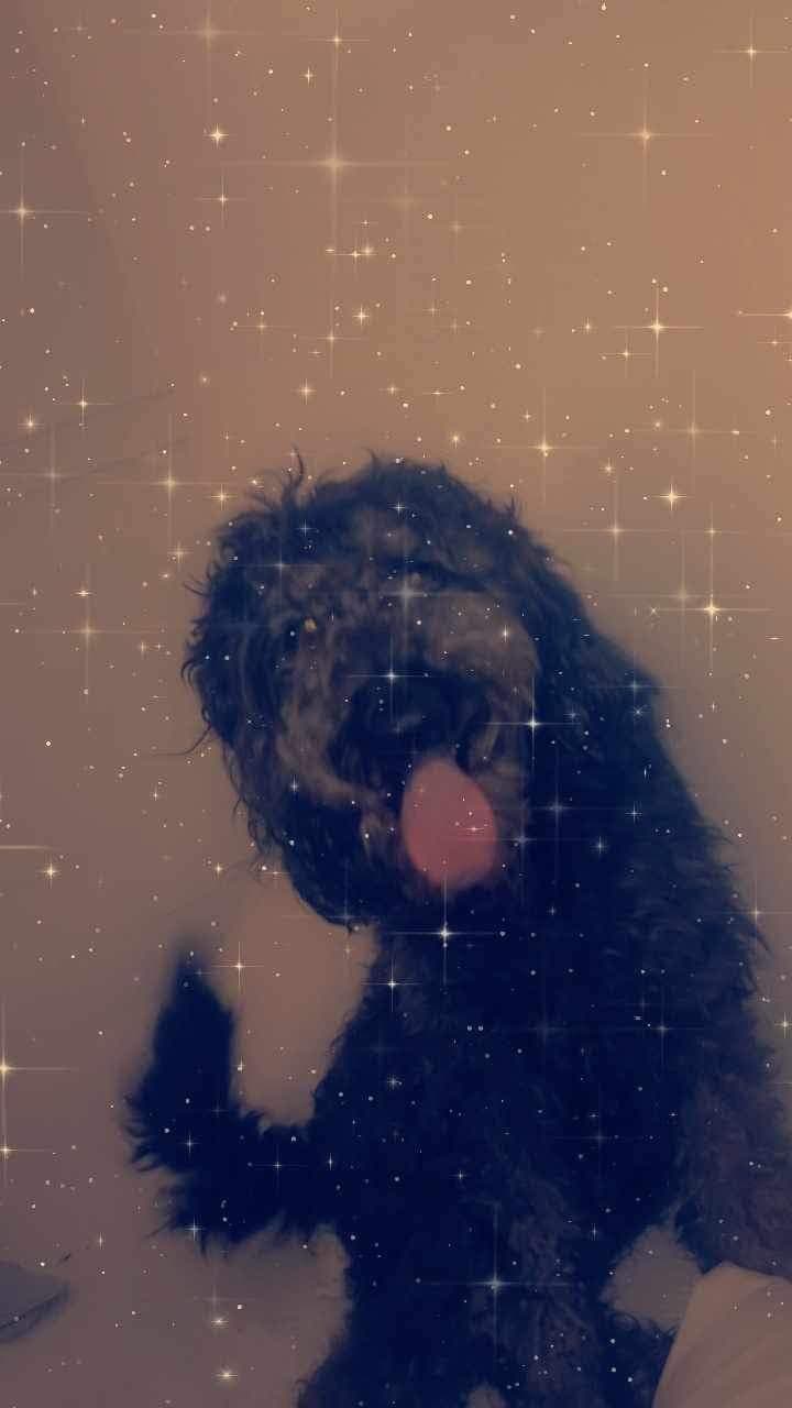 Photo of Sally