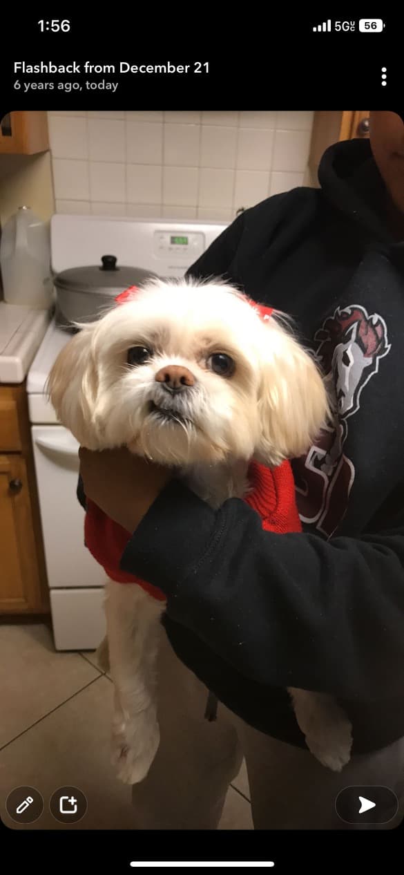 Photo of Bella