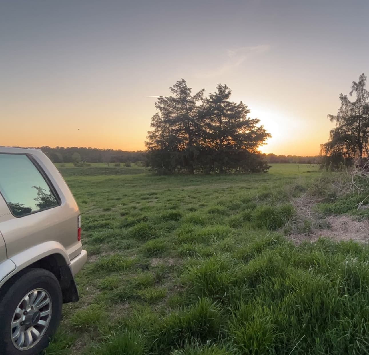 Photo of Isuzu