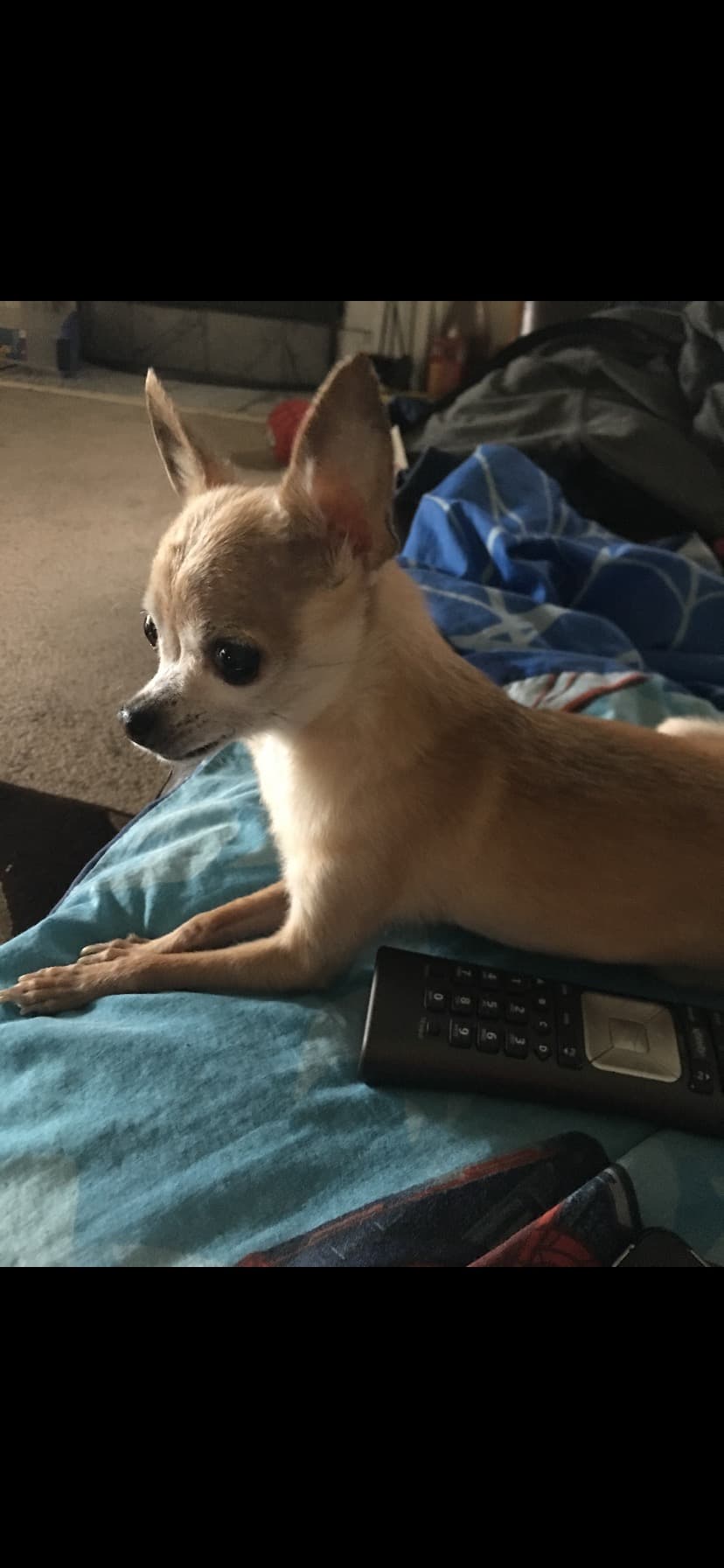 Photo of Zoe