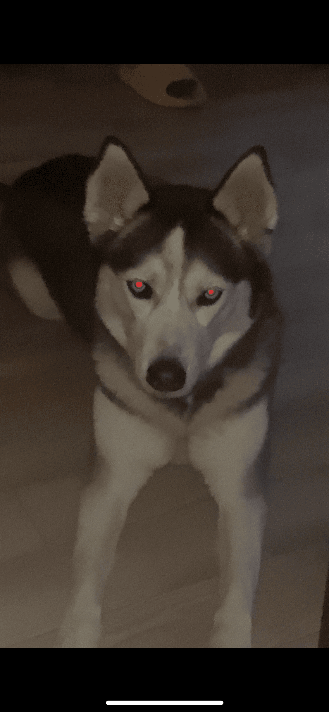 Photo of Lily