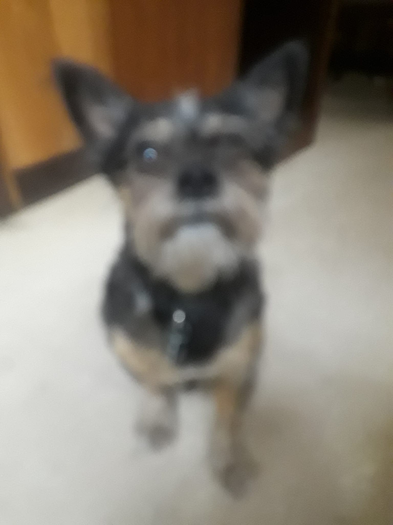 Photo of JoJo
