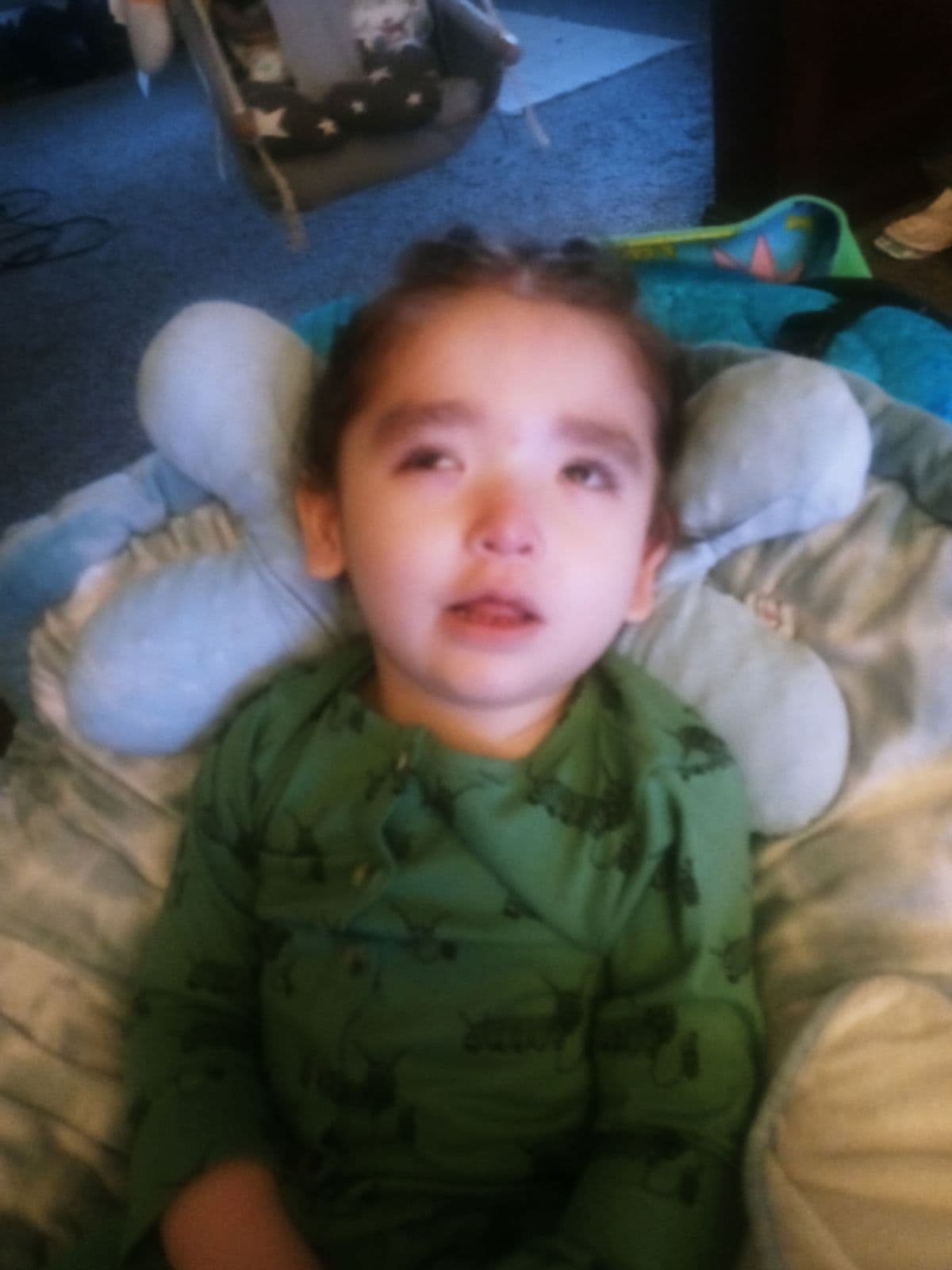 Photo of Milo
