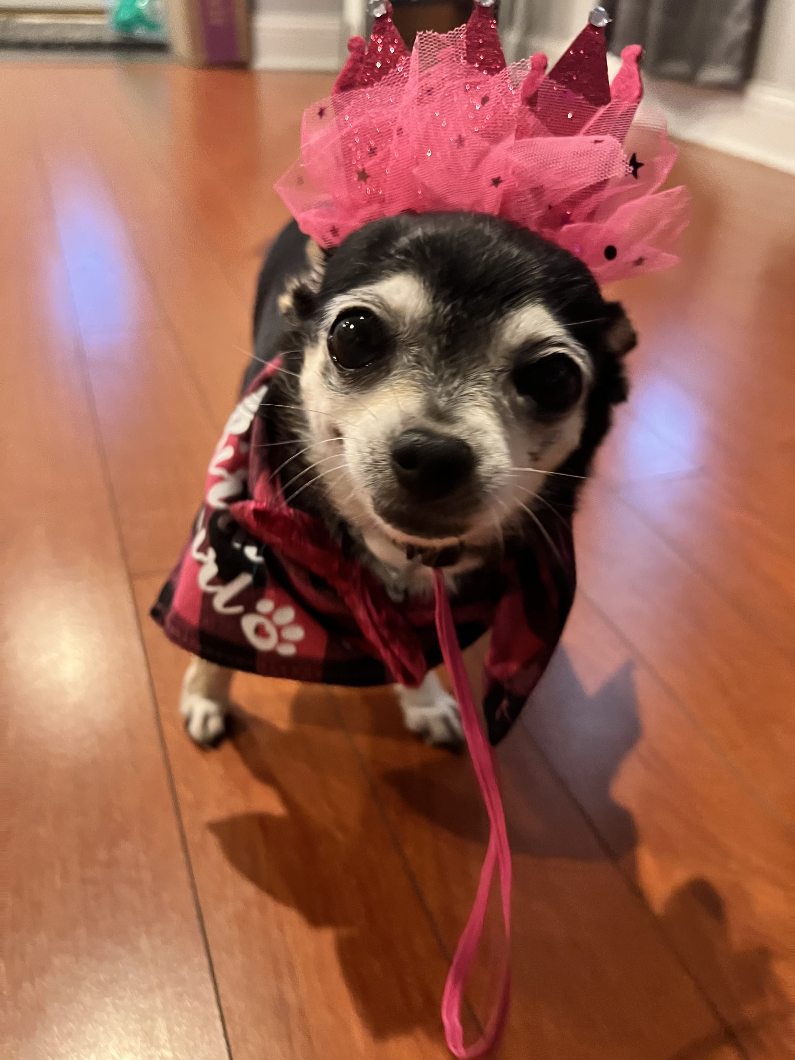 Photo of Mya