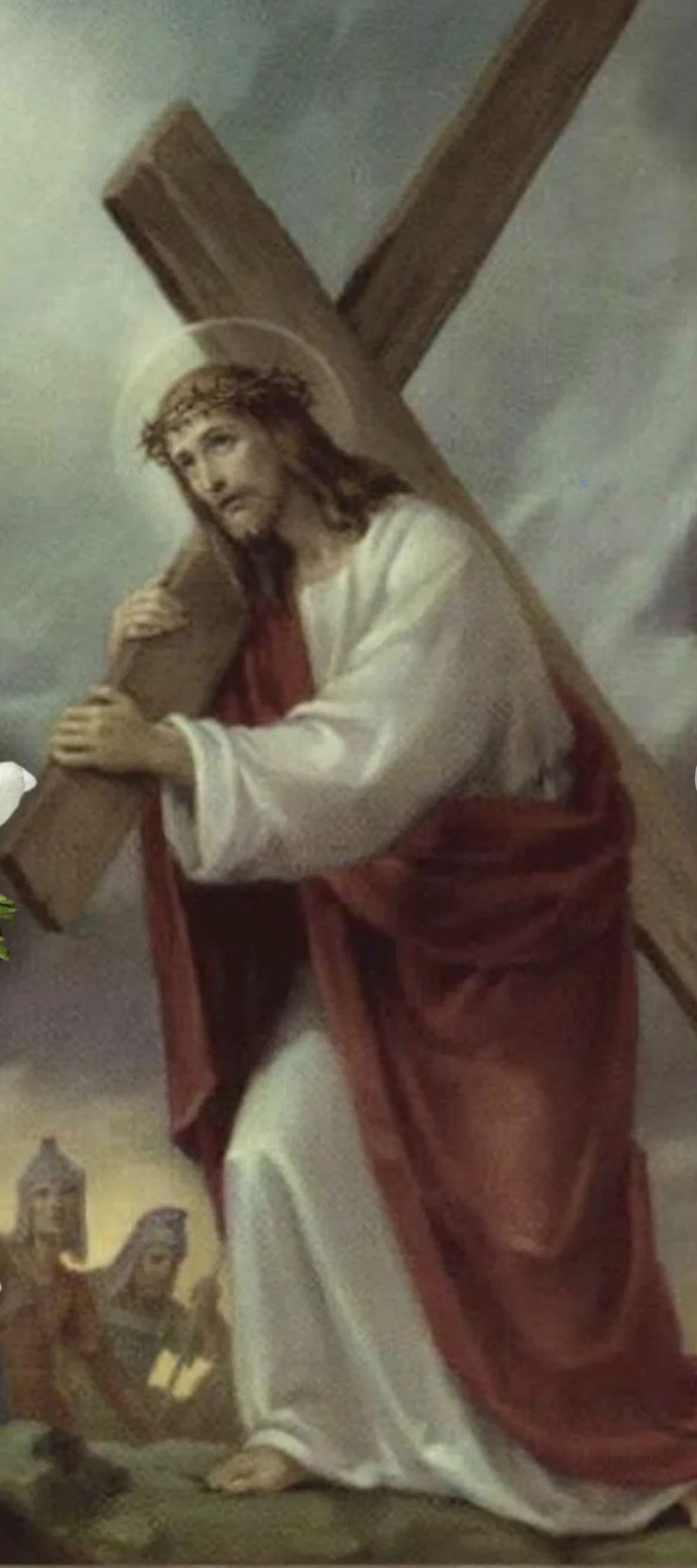 Photo of Candido