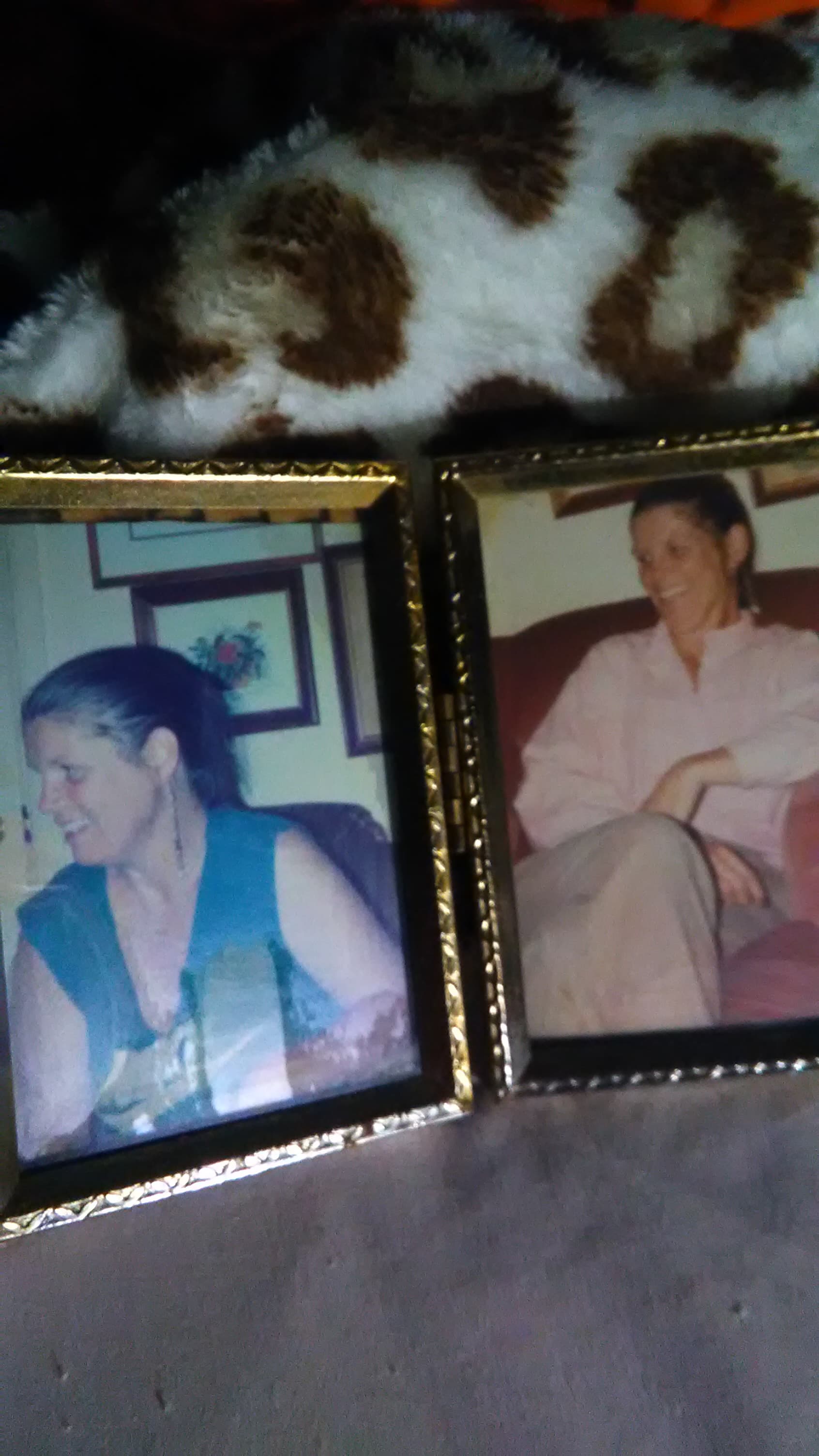 Photo of Donna