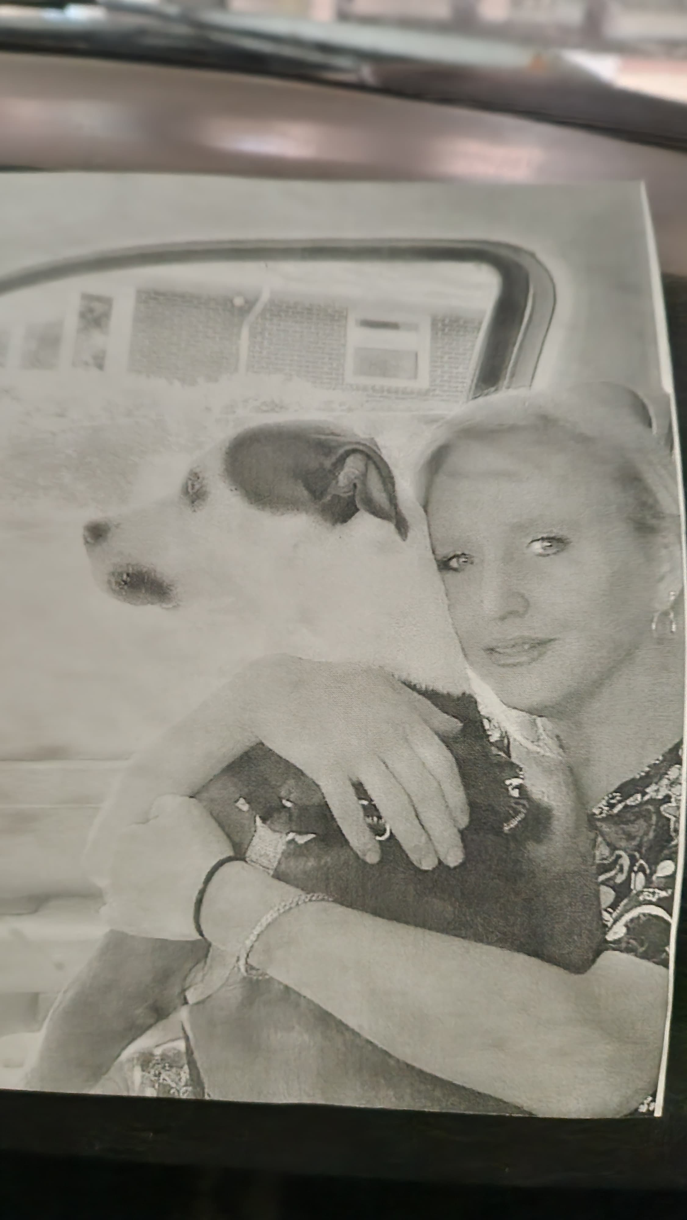 Photo of Allison