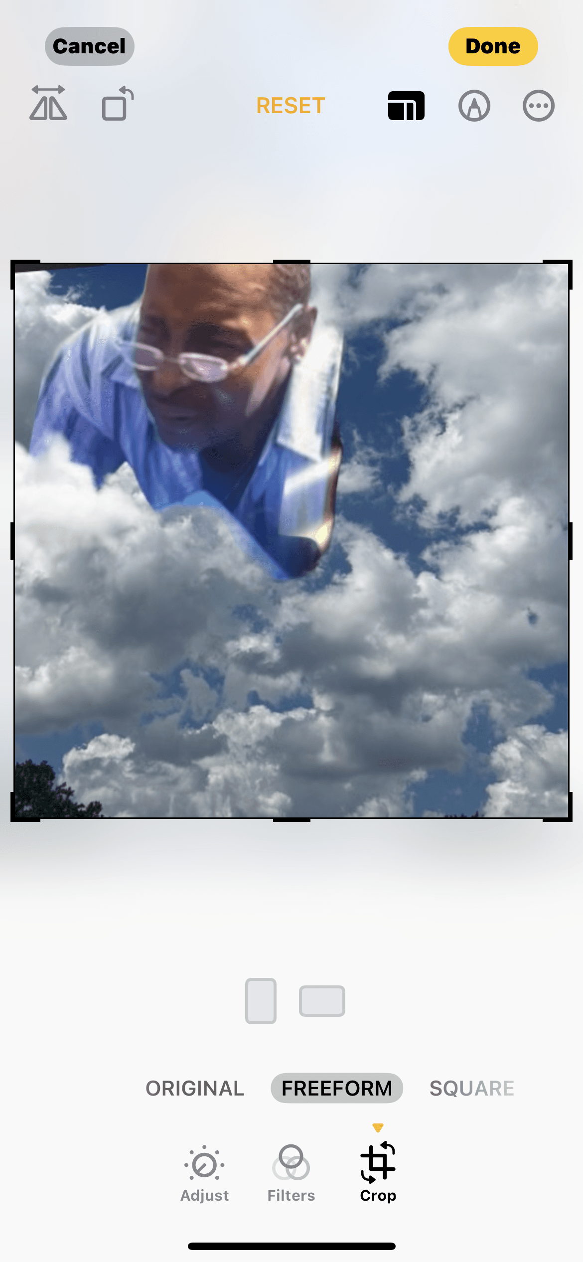 Photo of Willie