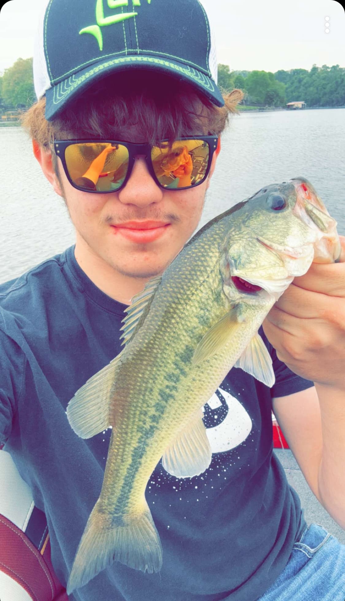Photo of Dylan