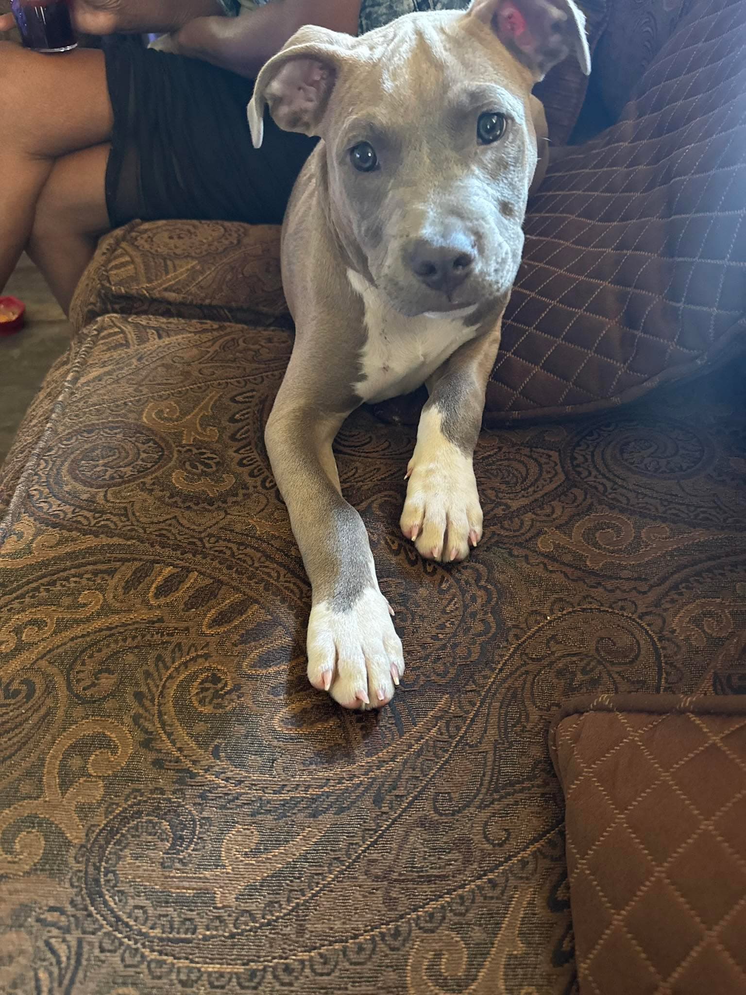 Photo of RYLO
