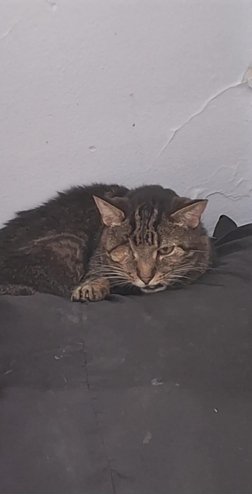Photo of Steven