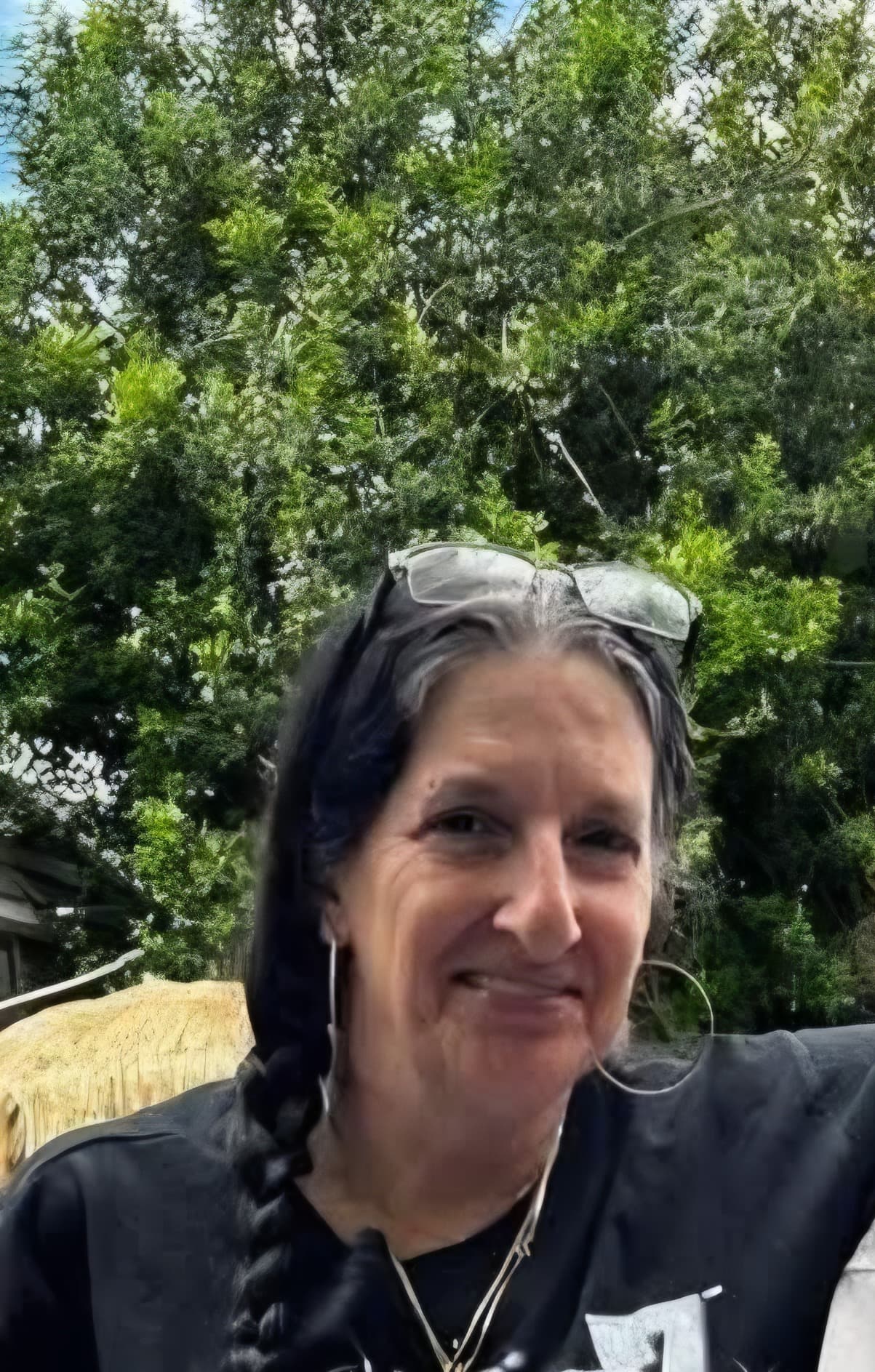 Photo of Robin  (Mullett)