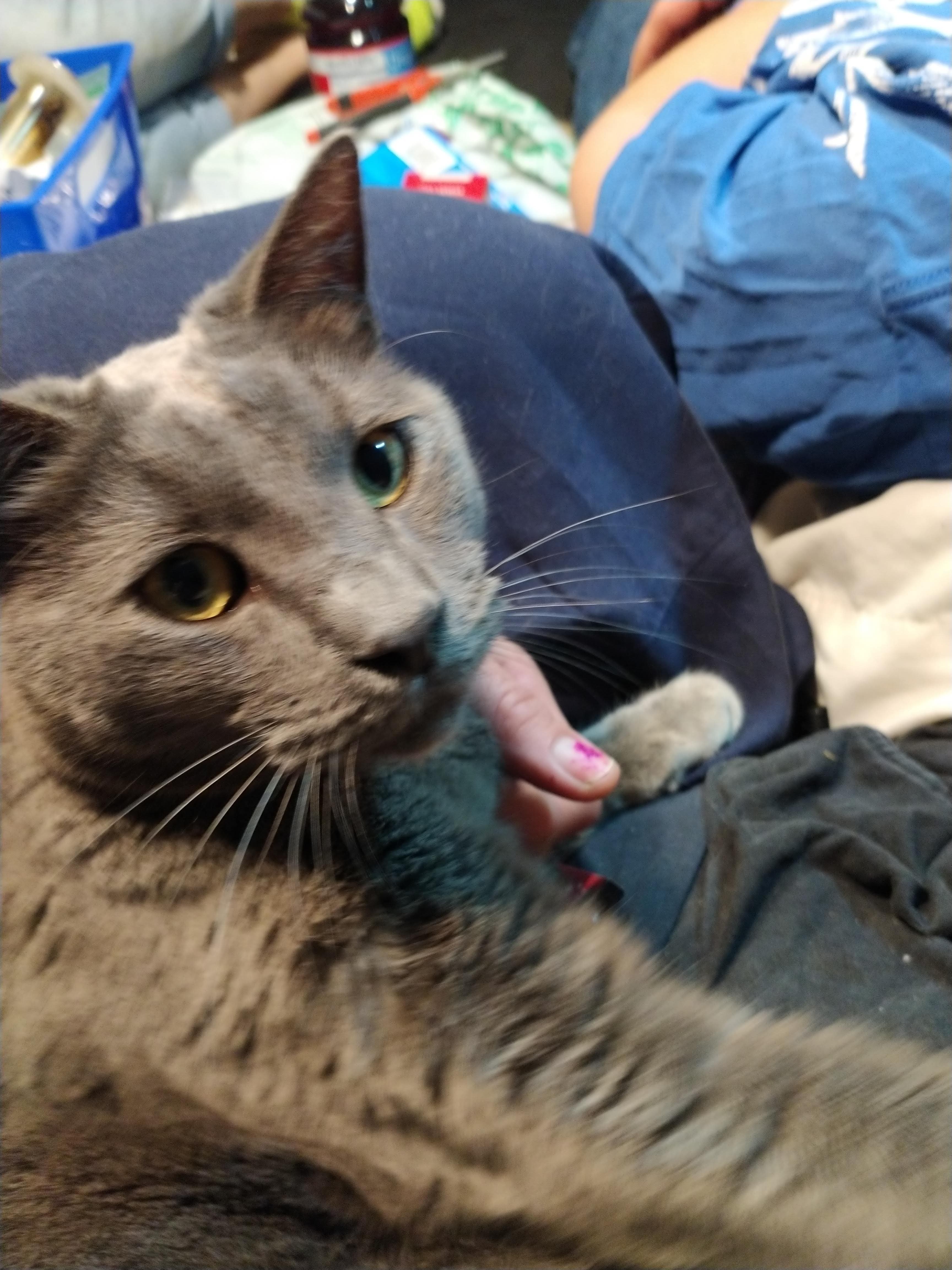 Photo of Baby baby