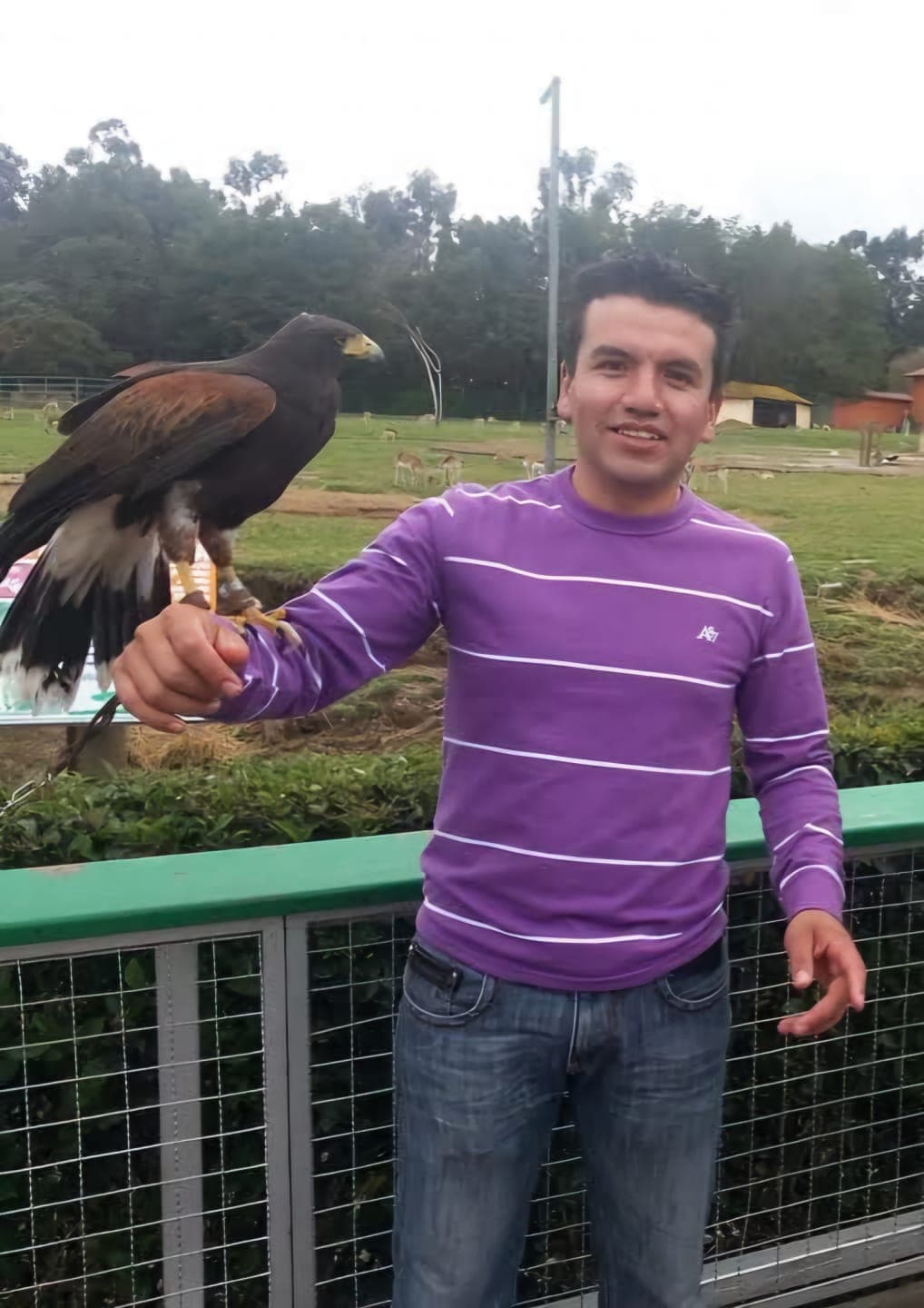 Photo of LUIS