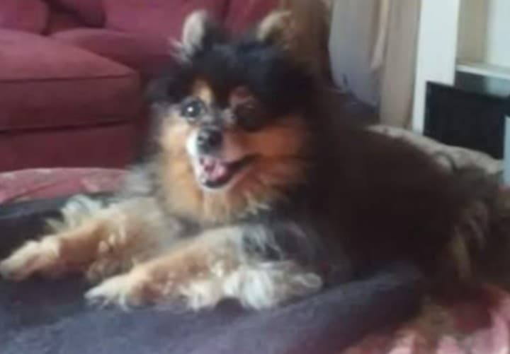 Photo of Princess