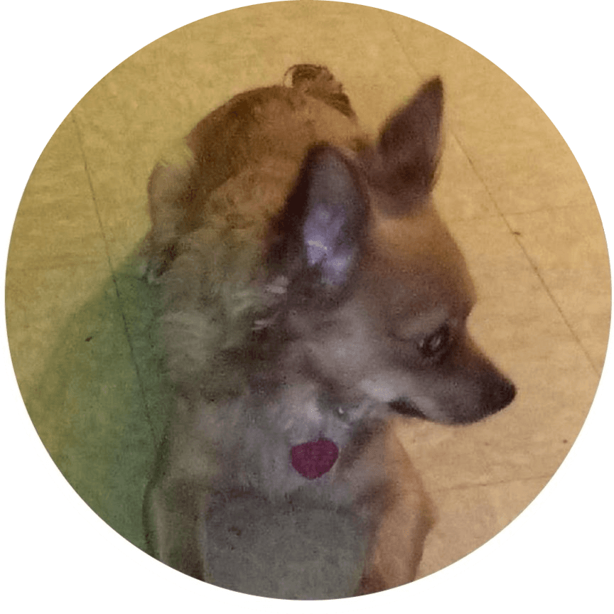 Photo of RAYMOND