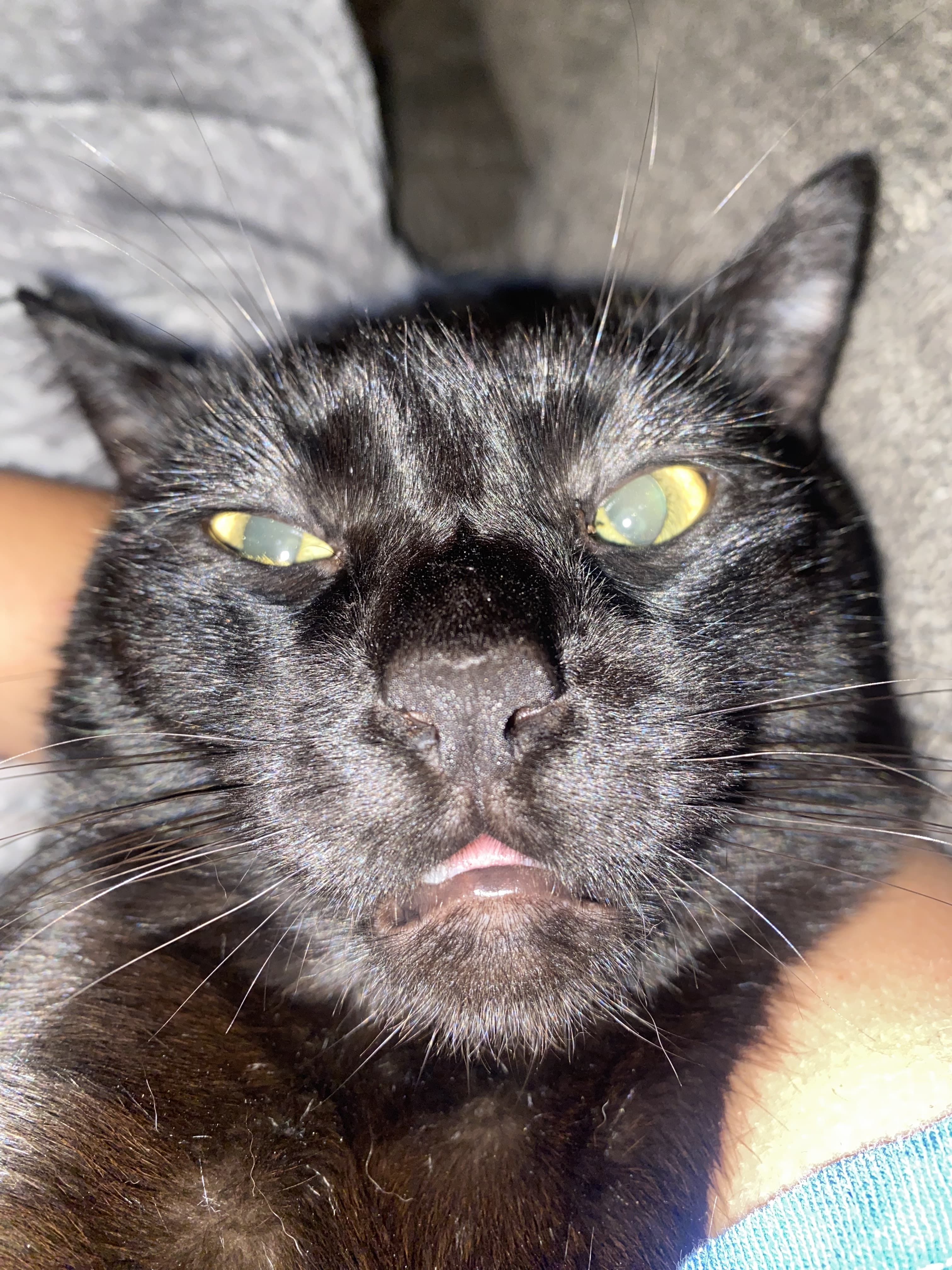 Photo of Salem