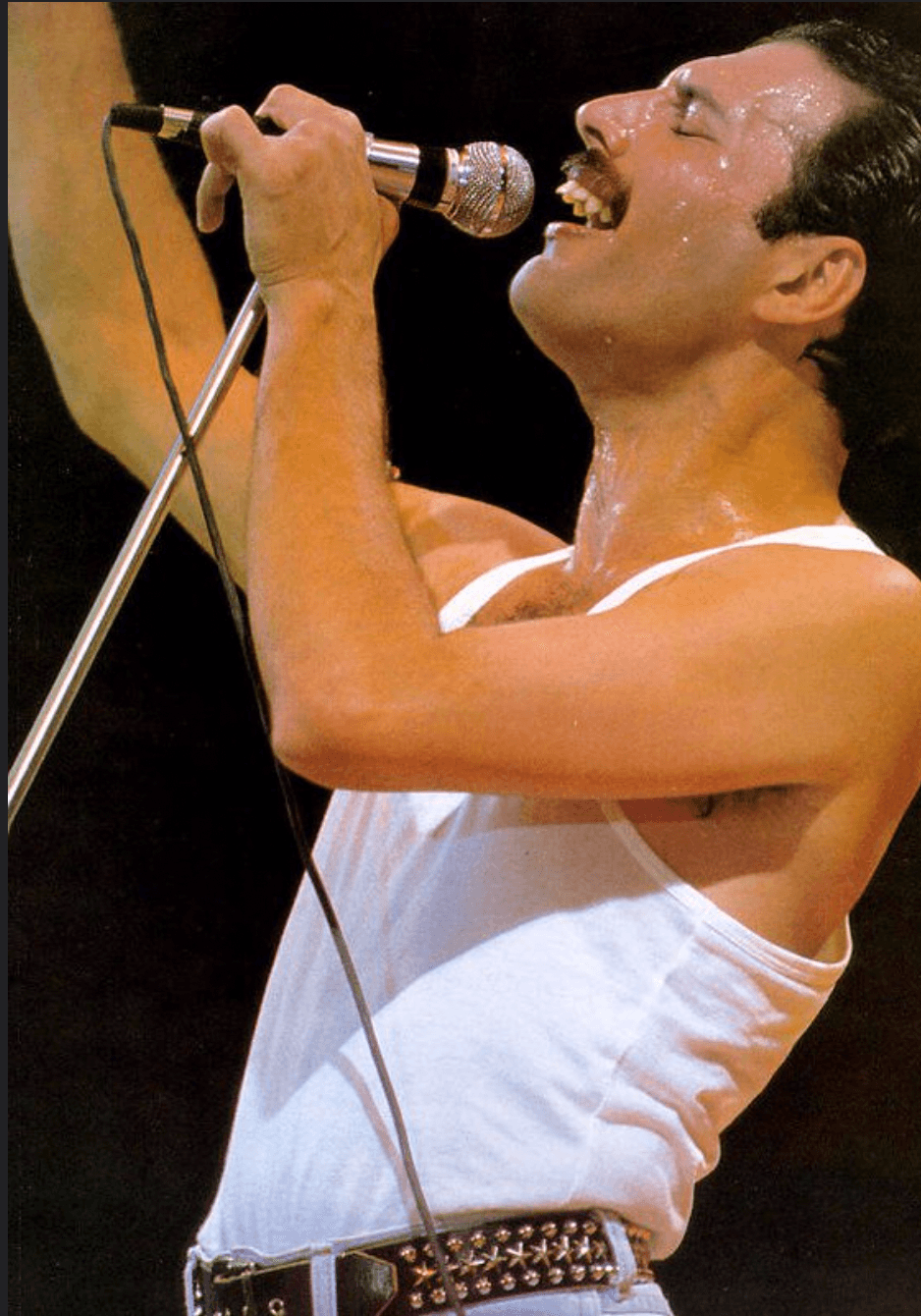 Photo of Freddie