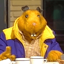 Photo of Shelleys Hamster