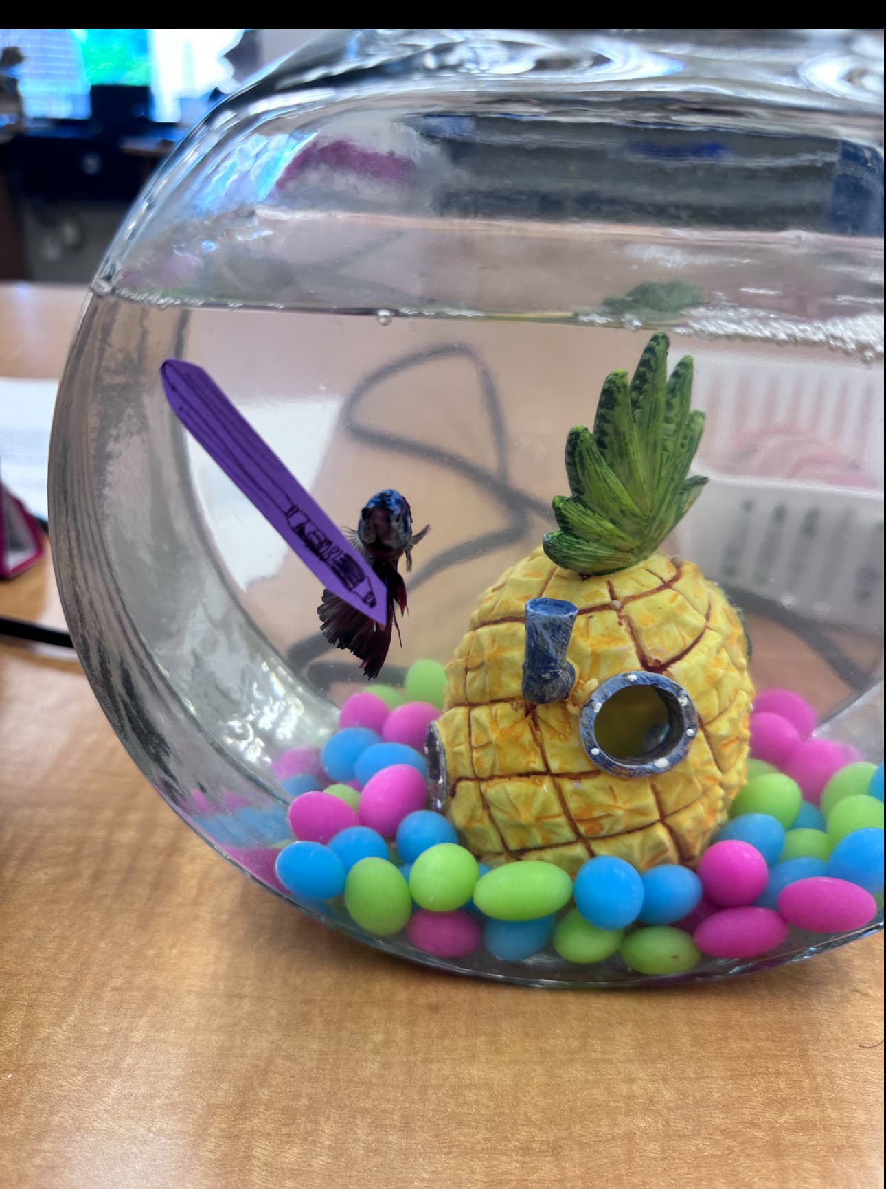 Photo of Skittles